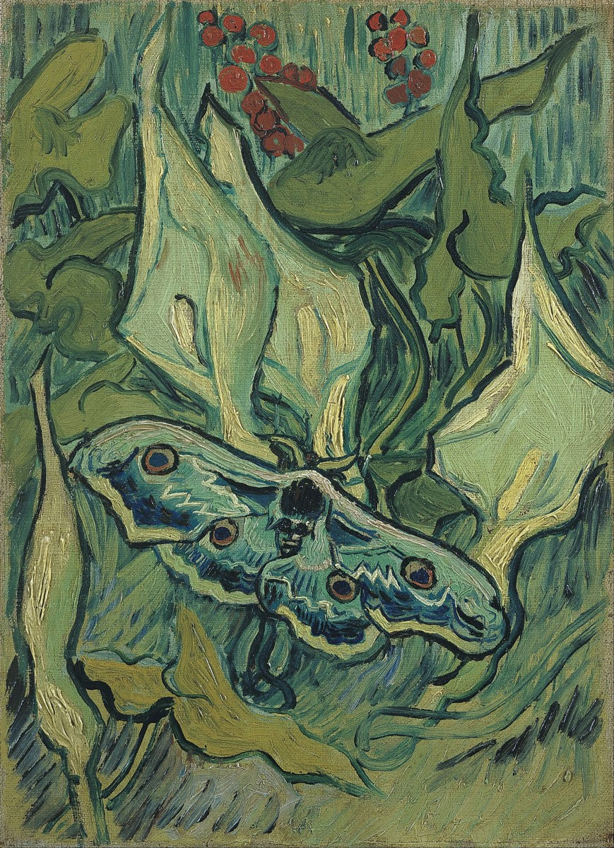 Emperor moth by Vincent van Gogh