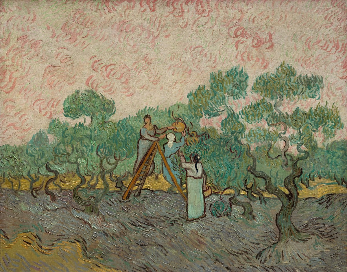 Women Picking Olives by Vincent van Gogh