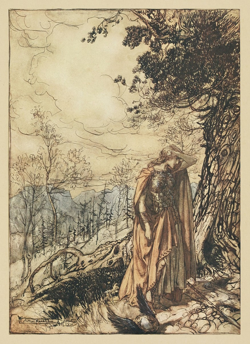 Brunnhilde stands for a long time dazed and alarmed (1910) by Arthur Rackham