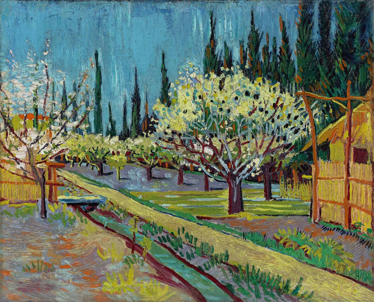 Orchard Bordered by Cypresses by Vincent van Gogh