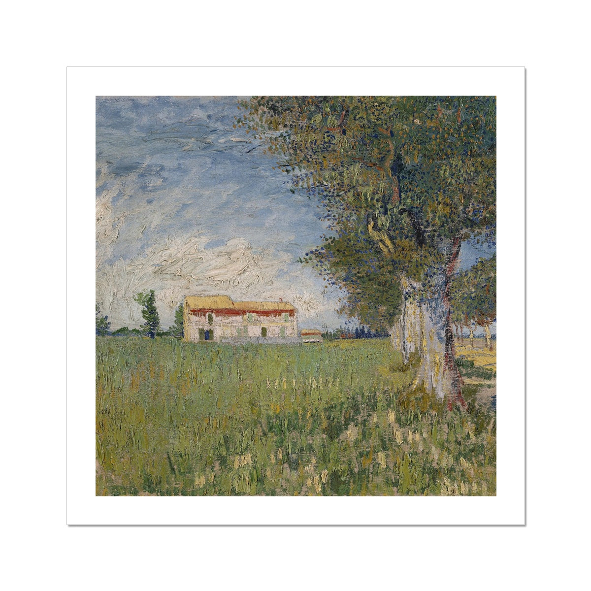 Farmhouse in a wheat field by Vincent van Gogh Fine Art Print