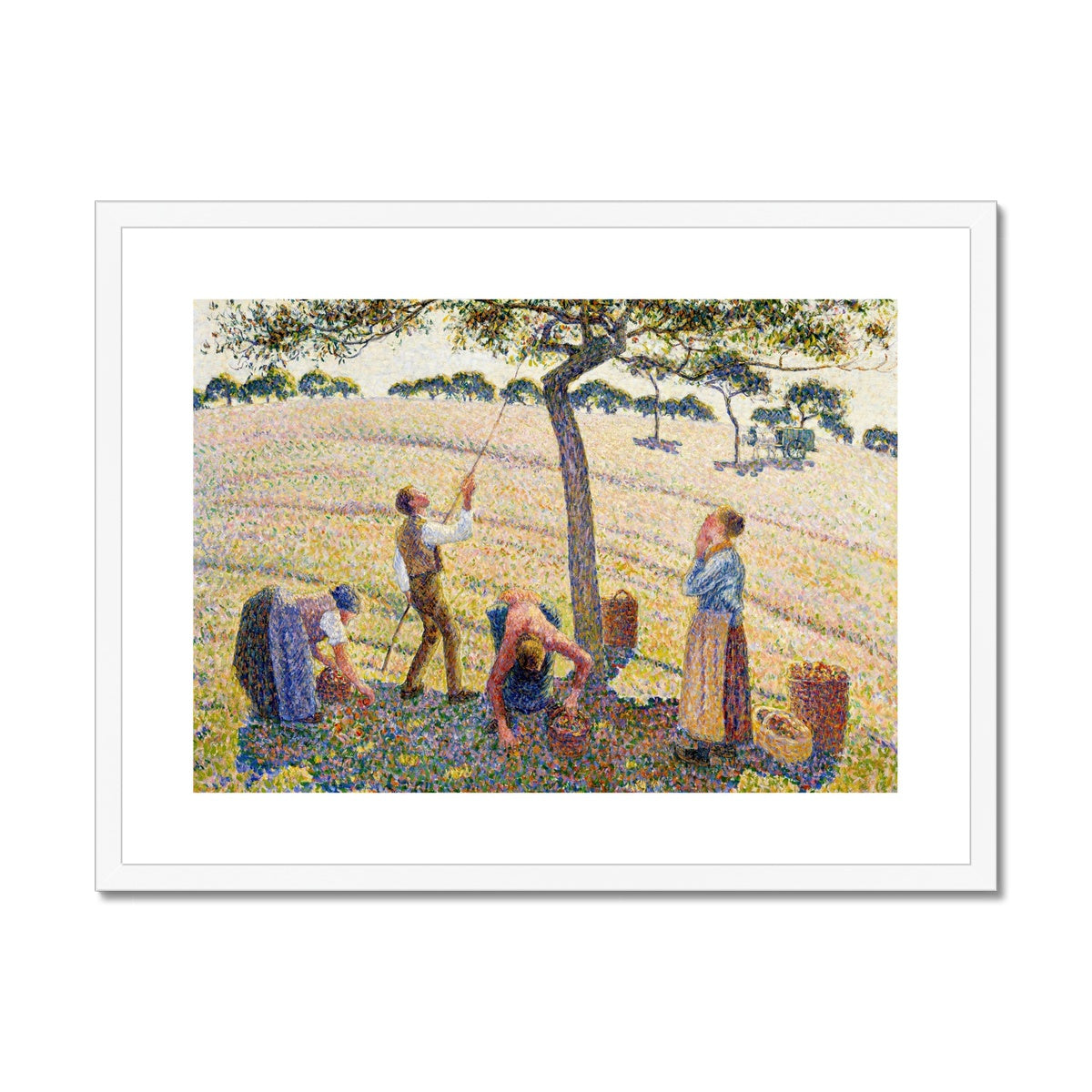 Apple Harvest by Camille Pissarro Framed & Mounted Print