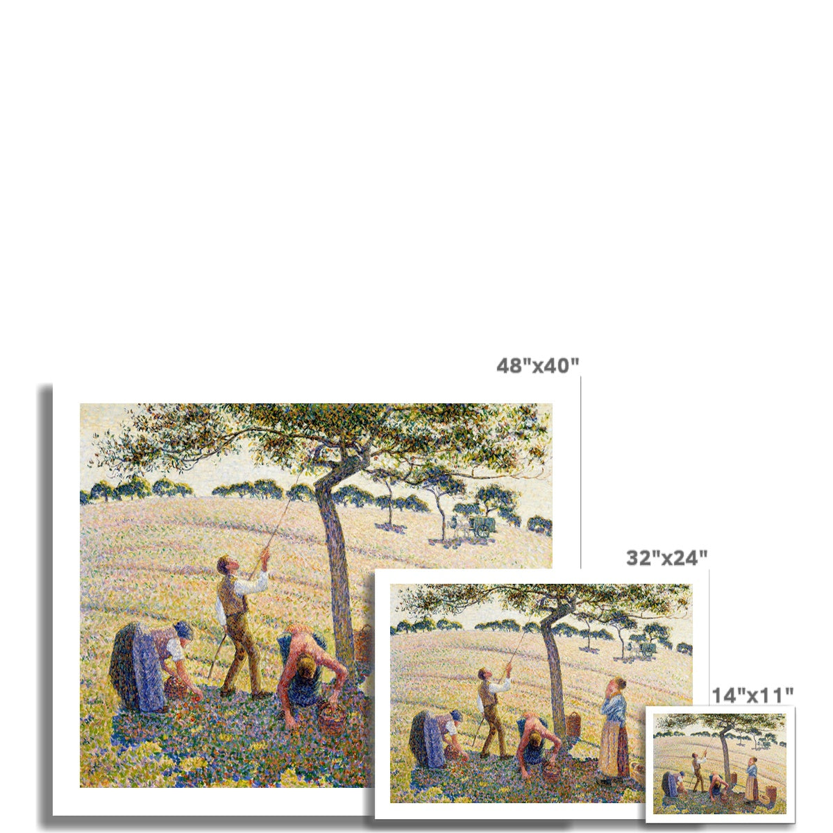 Apple Harvest by Camille Pissarro Fine Art Print