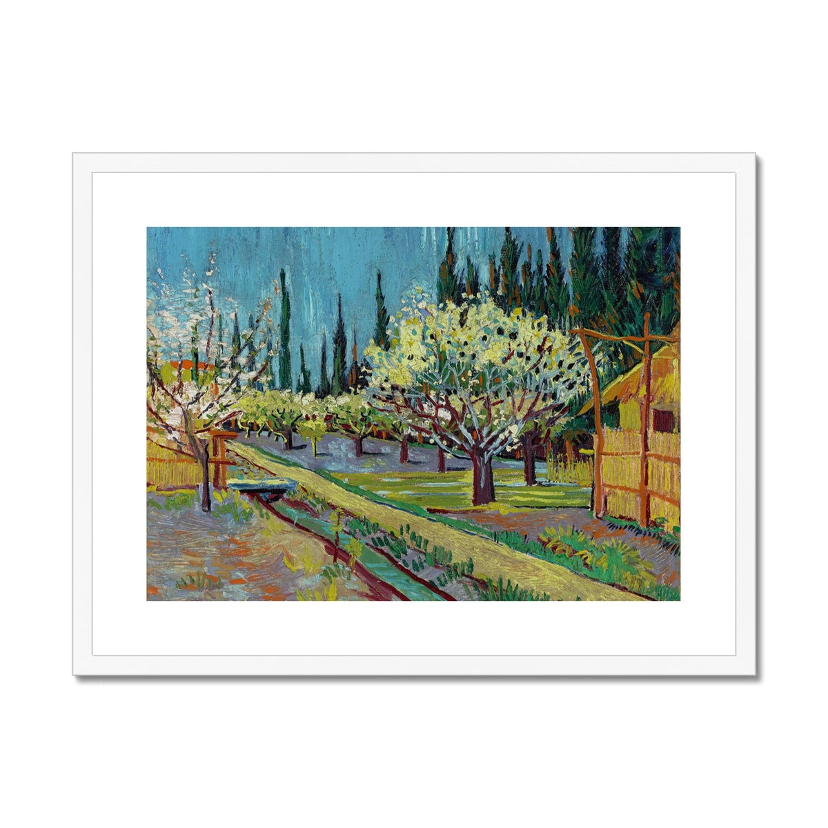 Orchard Bordered by Cypresses by Vincent van Gogh Framed & Mounted Print