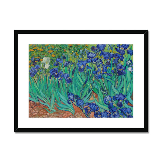 Irises by Vincent van Gogh Framed & Mounted Print