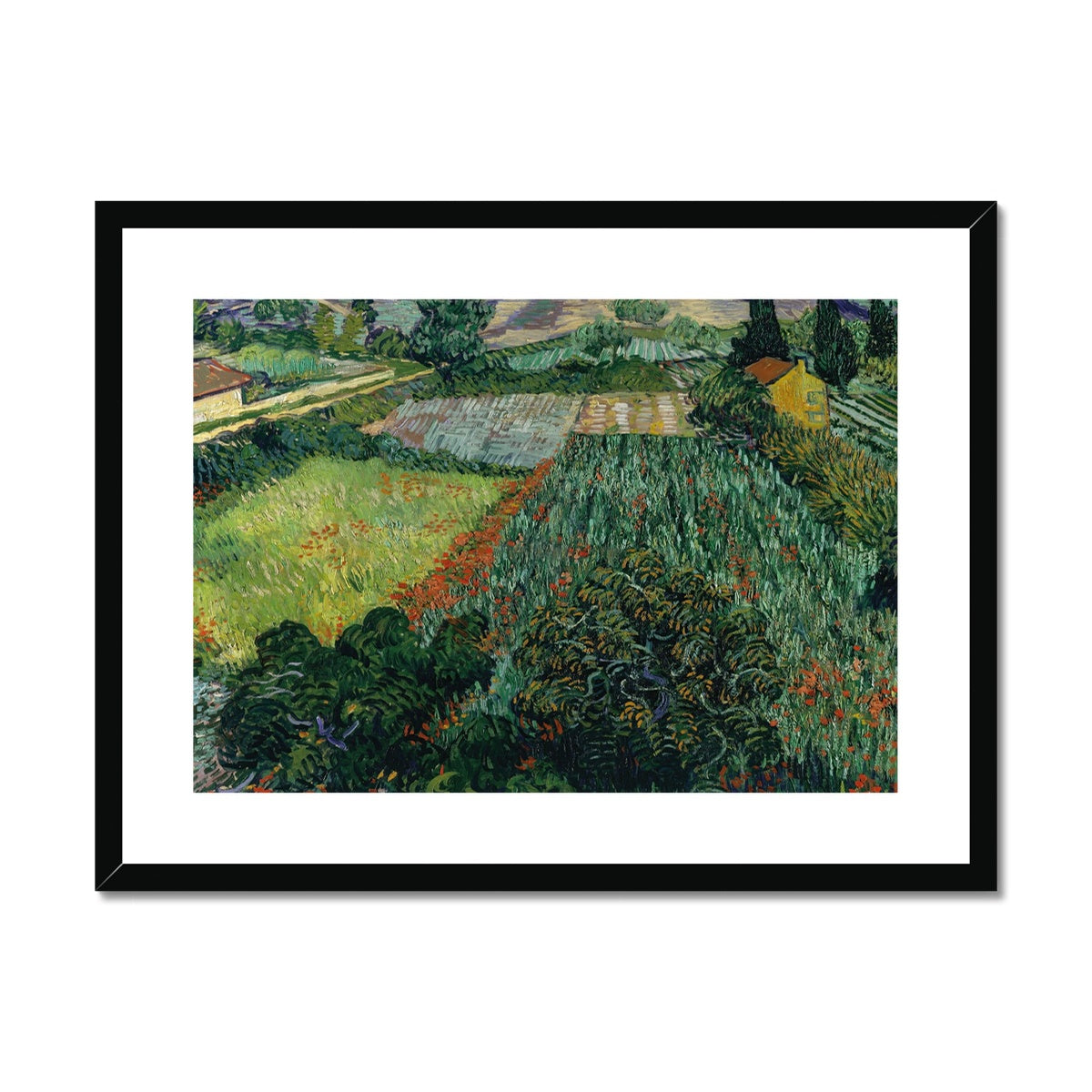 Field with Poppies by Vincent van Gogh Framed & Mounted Print