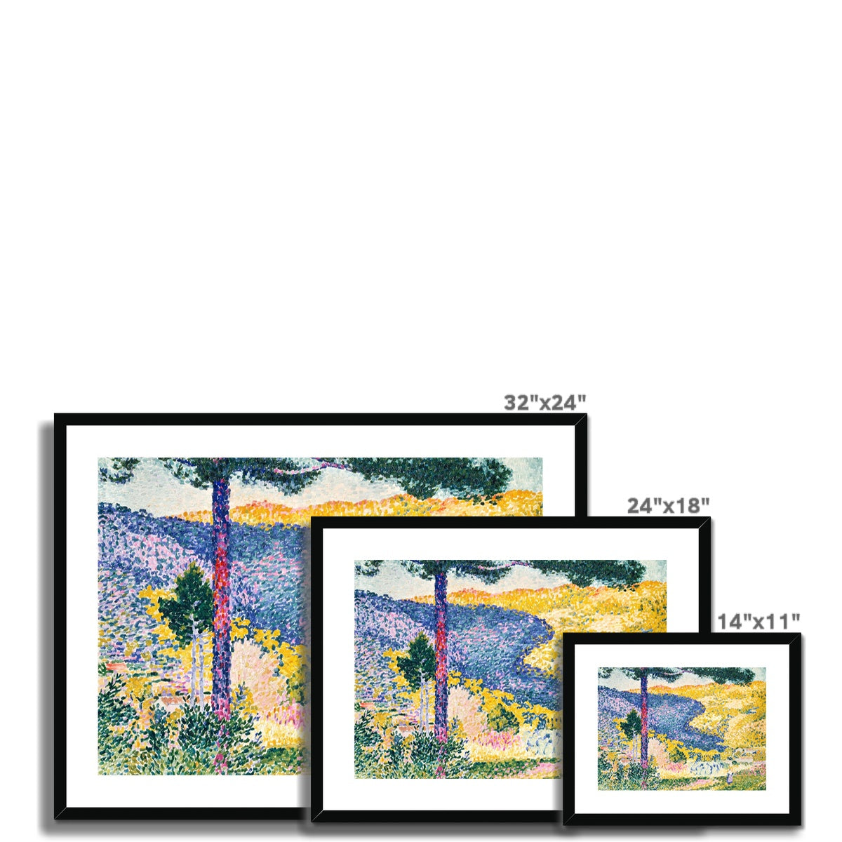 Valley with Fir; Shade on the Mountain by Henri-Edmond Cross Framed & Mounted Print