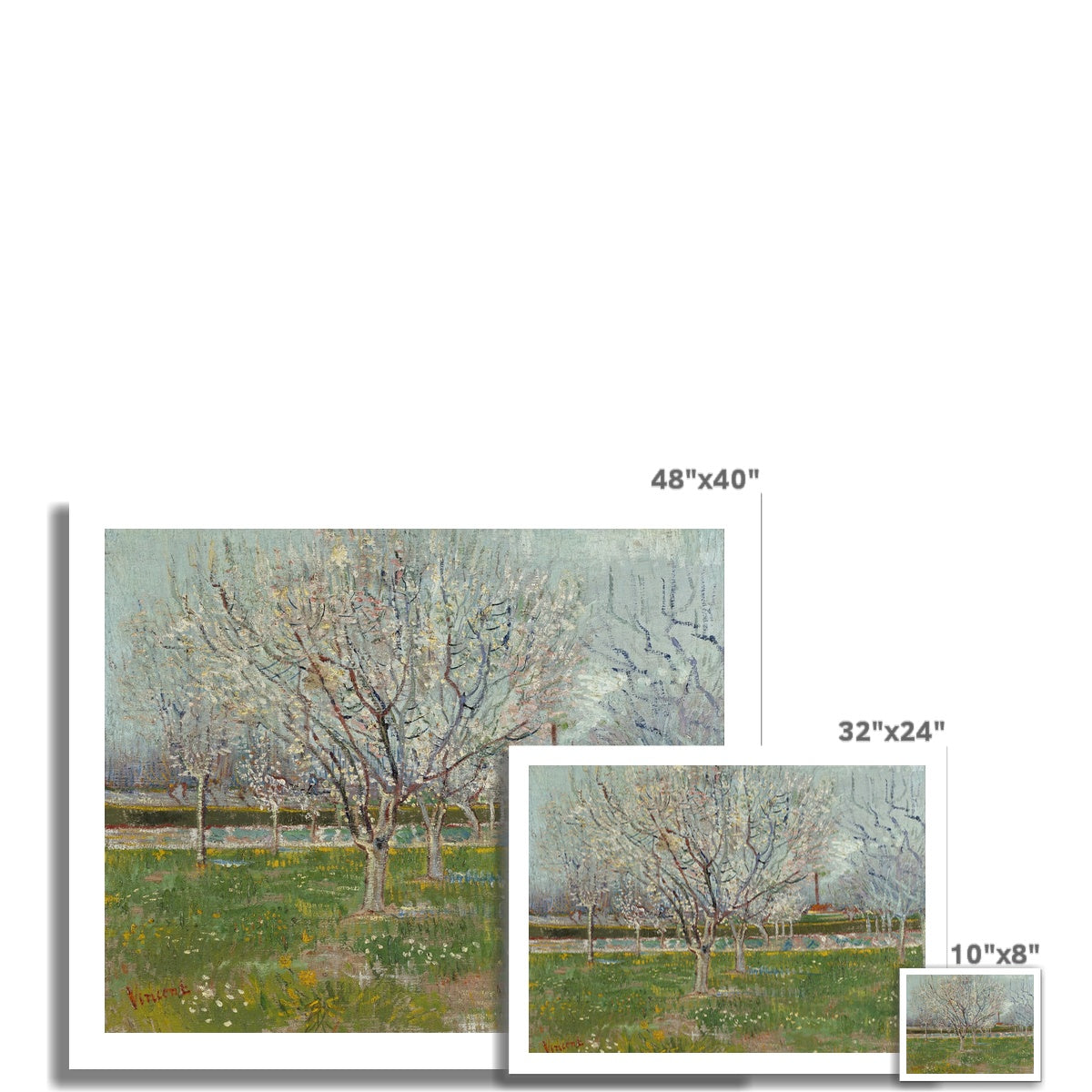 Orchard in Blossom (Plum Trees) by Vincent van Gogh Fine Art Print