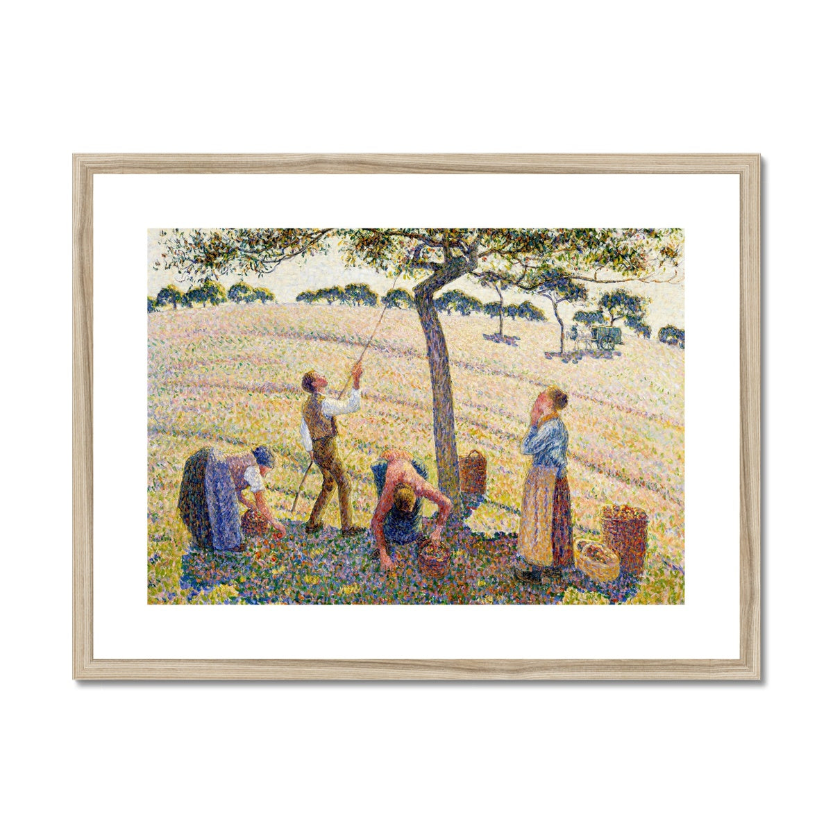 Apple Harvest by Camille Pissarro Framed & Mounted Print