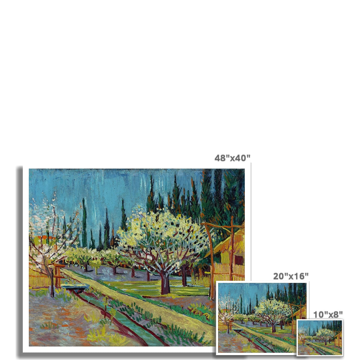 Orchard Bordered by Cypresses by Vincent van Gogh Fine Art Print