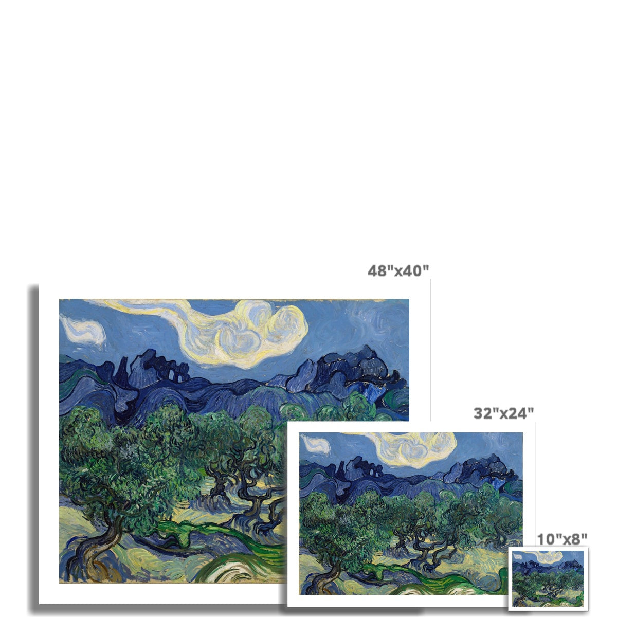 The Olive Trees by Vincent van Gogh  Fine Art Print