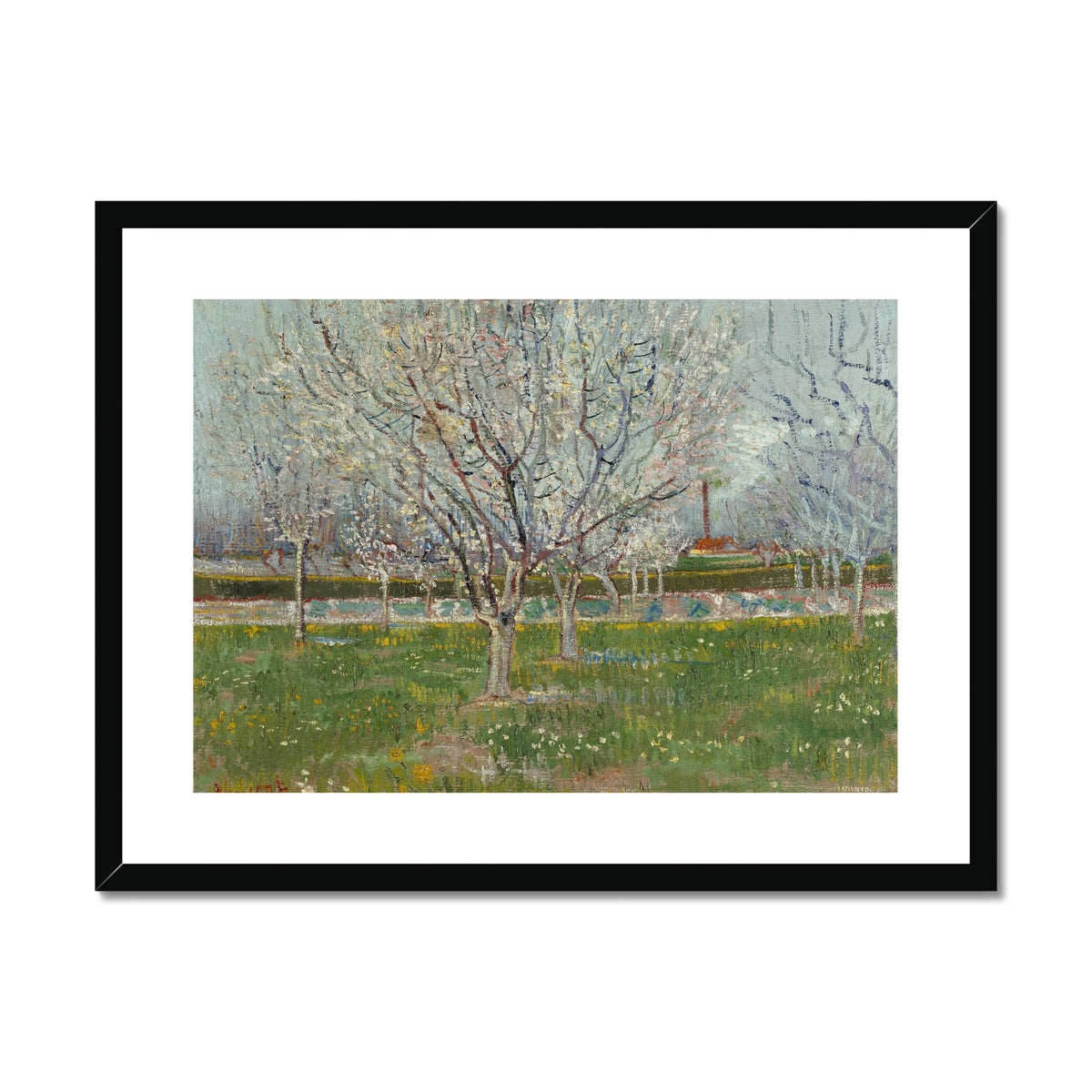 Orchard in Blossom (Plum Trees) by Vincent van Gogh Framed & Mounted Print