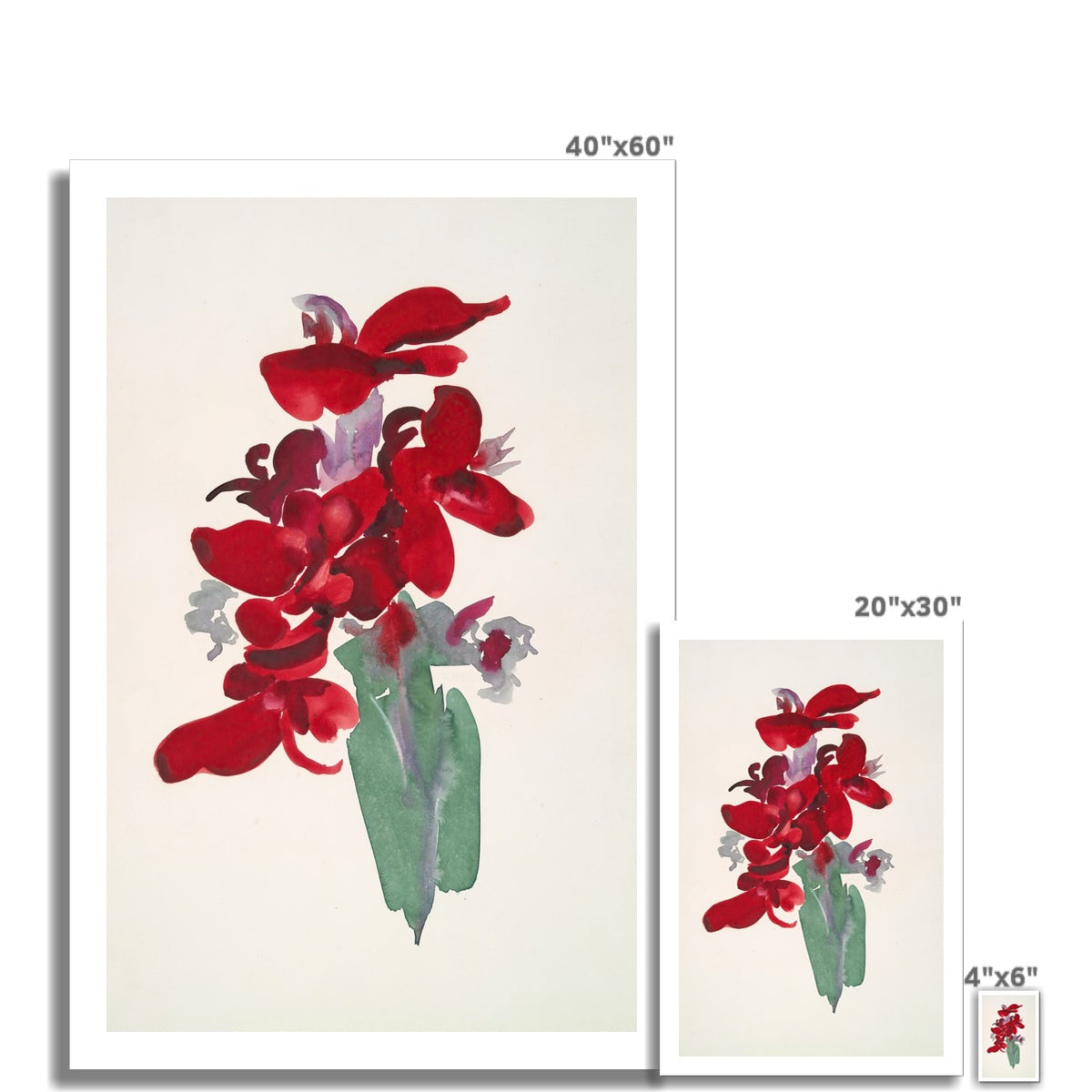 Red Canna by Georgia O’Keeffe Fine Art Print