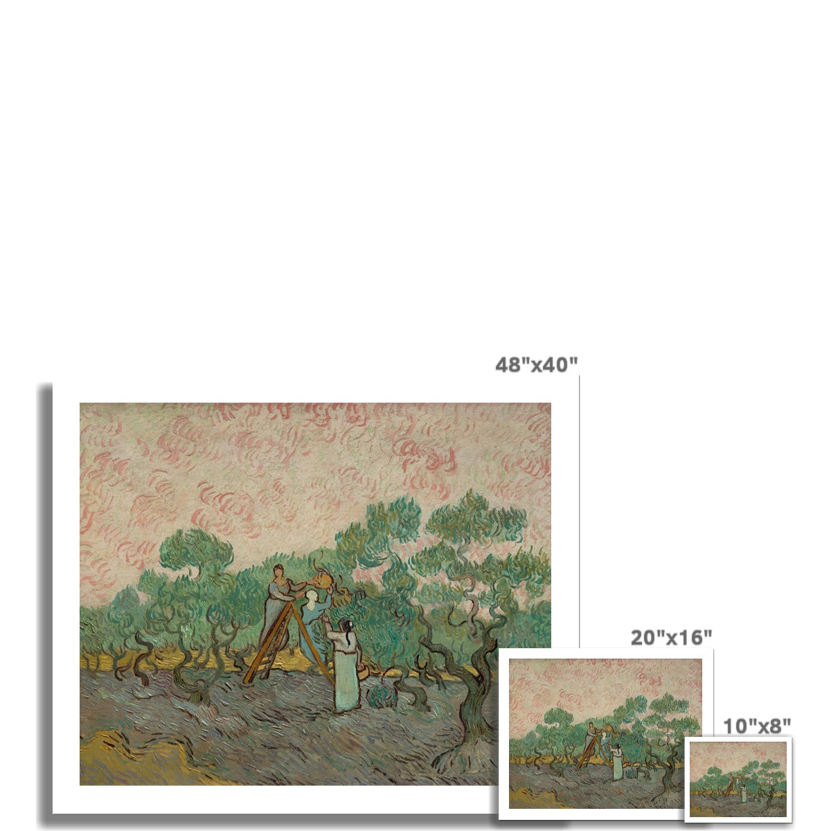 Women Picking Olives by Vincent van Gogh  Fine Art Print