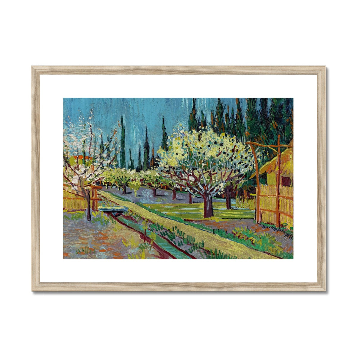 Orchard Bordered by Cypresses by Vincent van Gogh Framed & Mounted Print