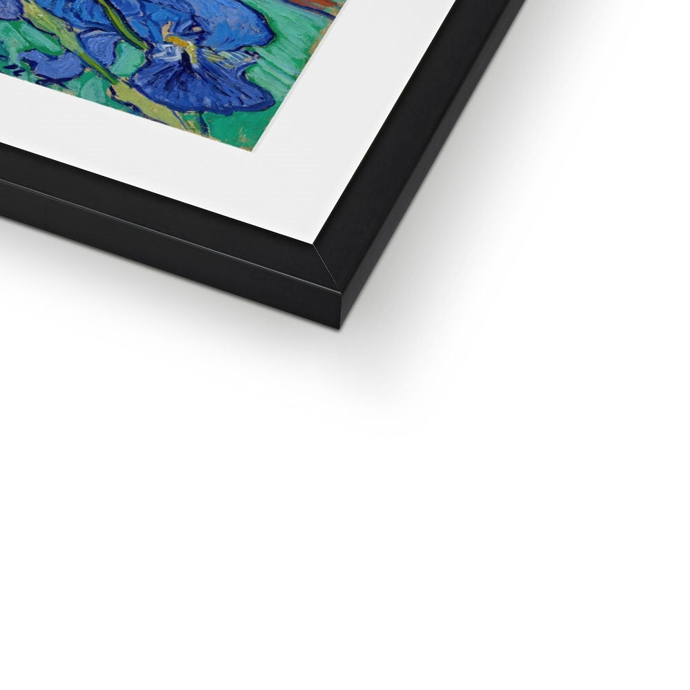 Irises by Vincent van Gogh Framed & Mounted Print